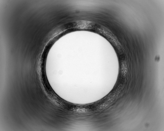 X0000103440730200810101104