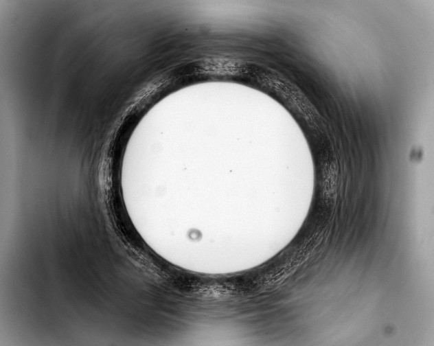 X0000103440731200810101104