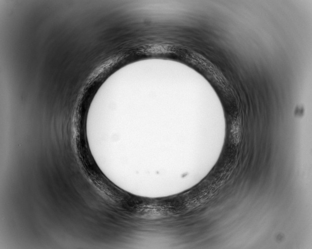 X0000103440732200810101104