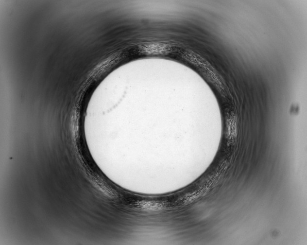 X0000103440733200810101104