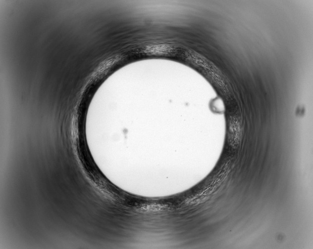 X0000103440734200810101104