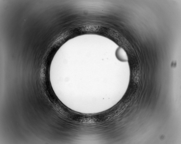 X0000103440735200810101104