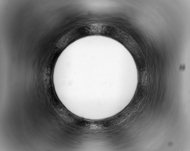 X0000103440737200810101104