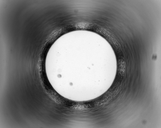 X0000103440738200810101104