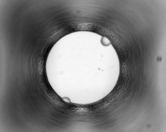 X0000103440741200810101105