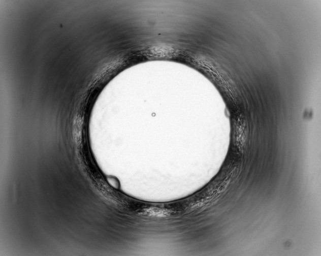 X0000103440742200810101105