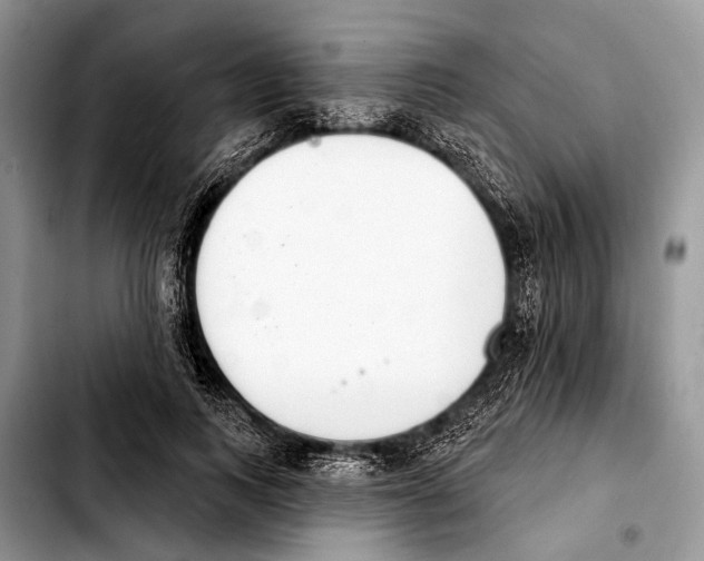 X0000103440743200810101105