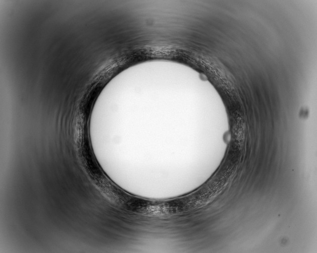 X0000103440744200810101105
