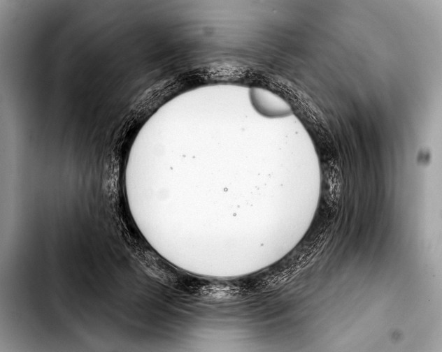 X0000103440745200810101105