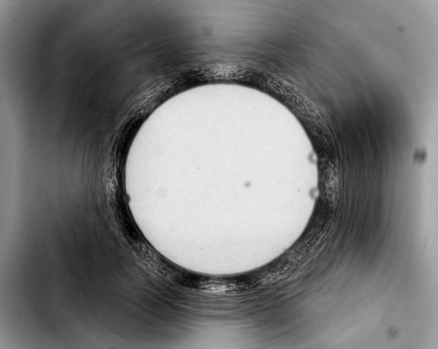 X0000103440746200810101105