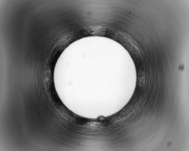 X0000103440748200810101105