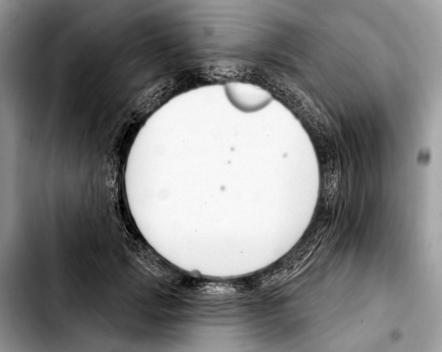 X0000103440749200810101105