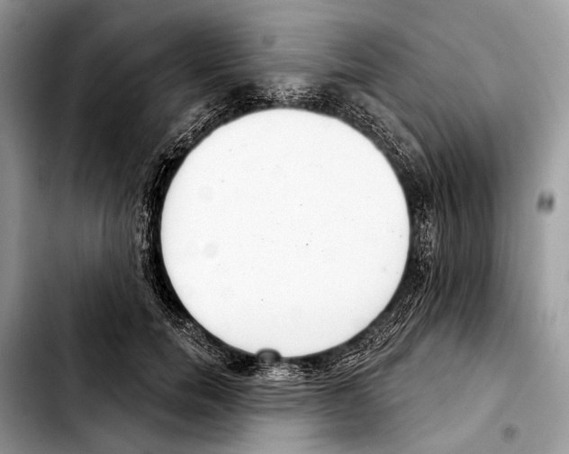 X0000103440750200810101105