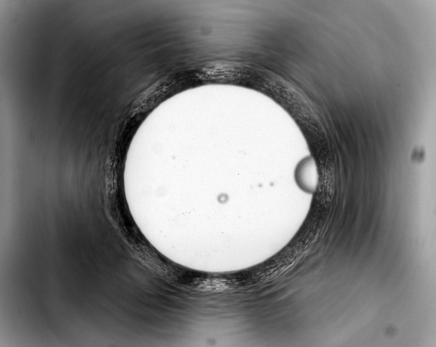 X0000103440751200810101105