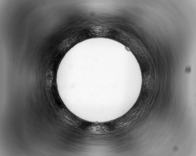 X0000103440752200810101105