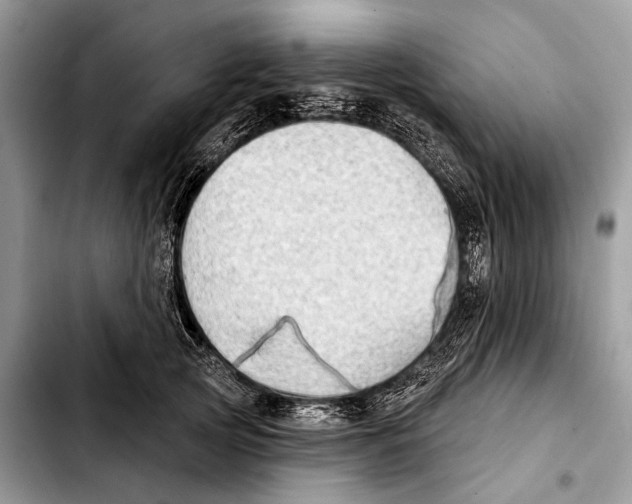 X0000103440753200810101105