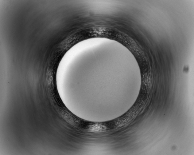 X0000103440754200810101105