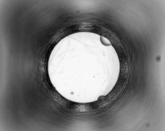 X0000103440755200810101105