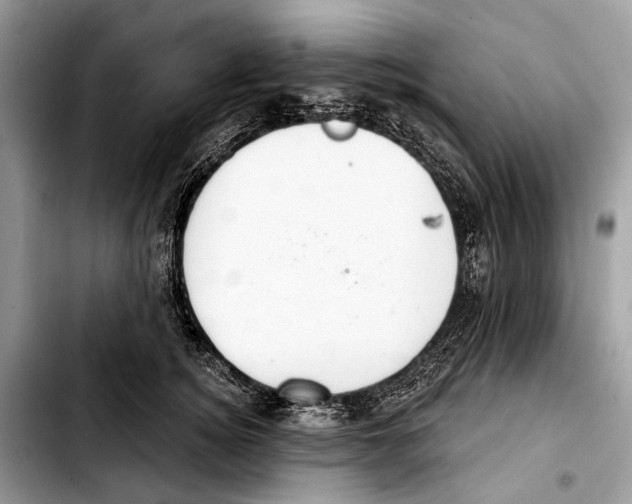 X0000103440756200810101105