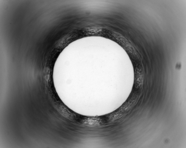 X0000103440758200810101105