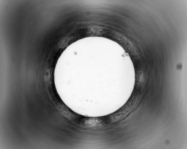 X0000103440759200810101105