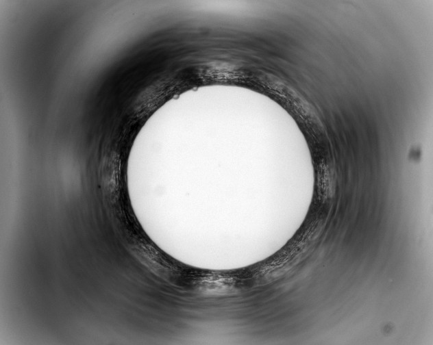 X0000103440760200810101105