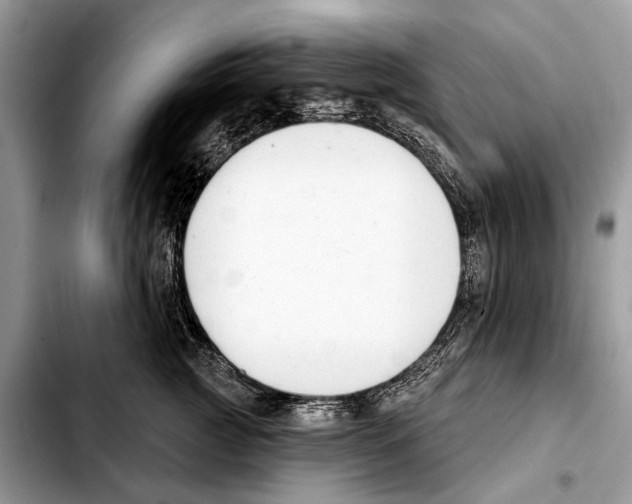 X0000103440761200810101105