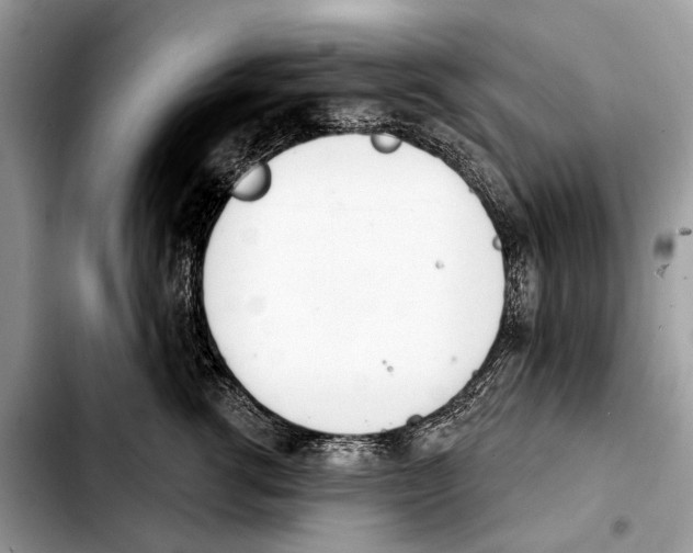 X0000103440762200810101105