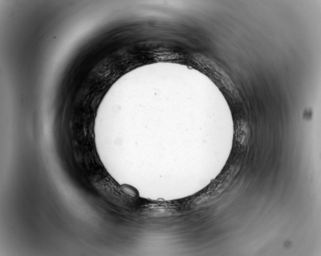 X0000103440763200810101105