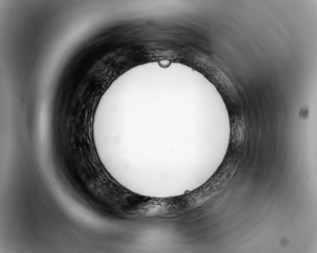 X0000103440764200810101105