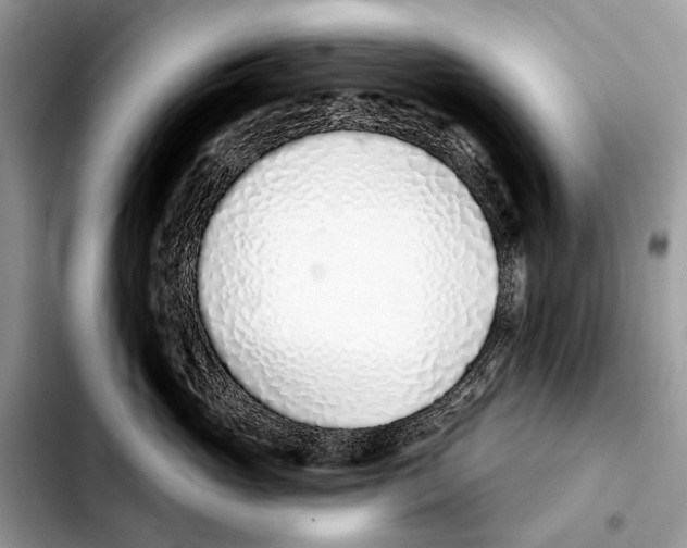 X0000103440765200810101105