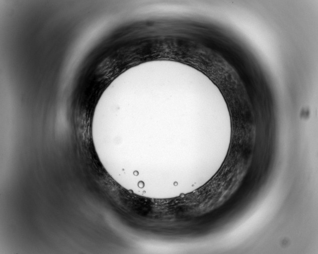 X0000103440766200810101105