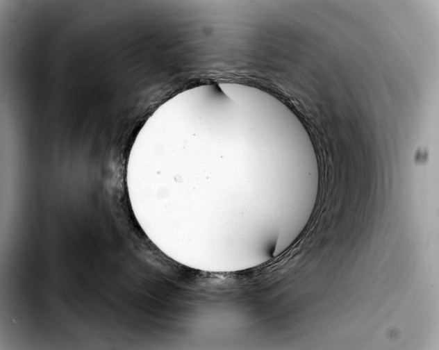 X0000103440768200810101105