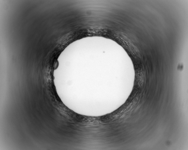 X0000103440770200810101104