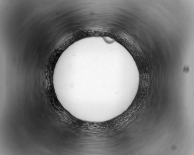 X0000103440774200810101104