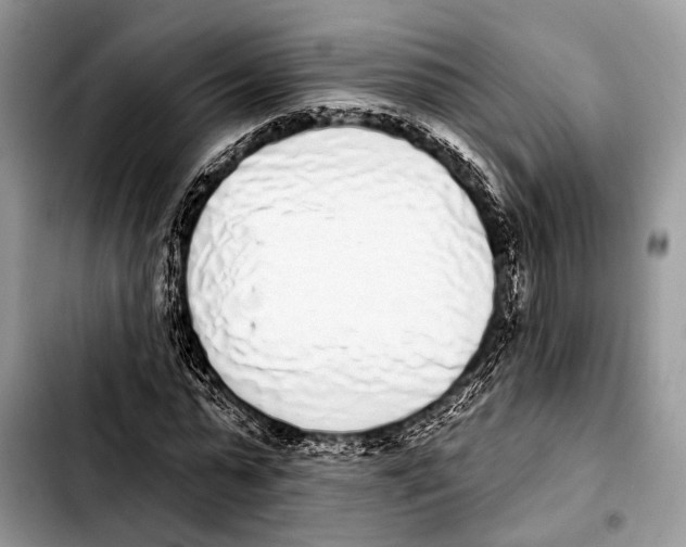 X0000103440775200810101104