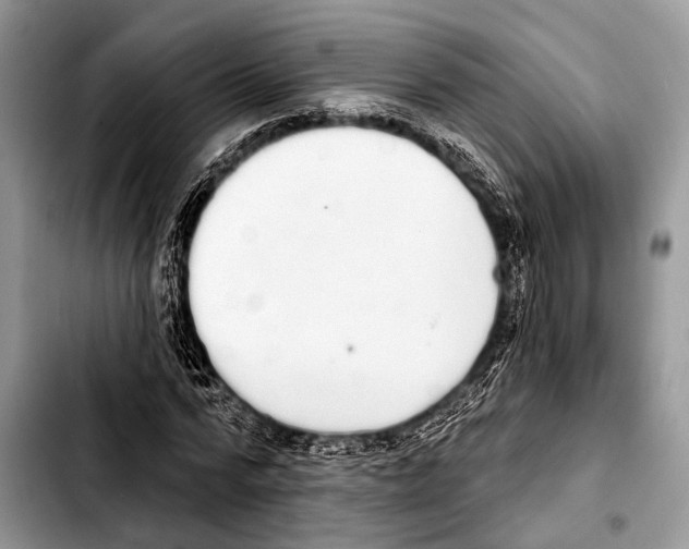 X0000103440776200810101104