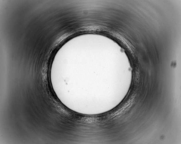 X0000103440778200810101104