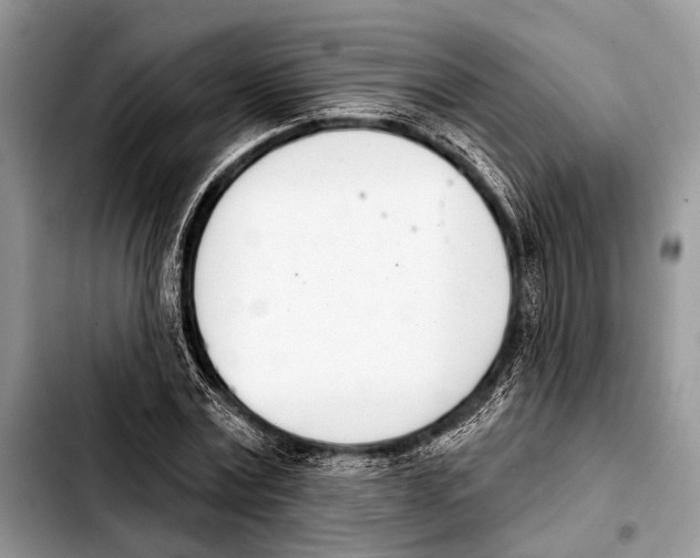 X0000103440779200810101104