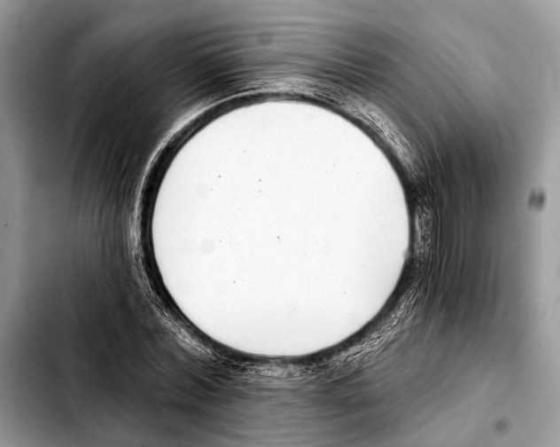 X0000103440780200810101104