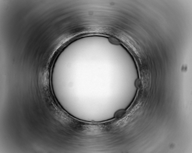 X0000103440781200810101104