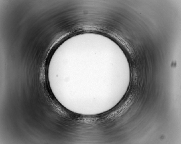 X0000103440782200810101104