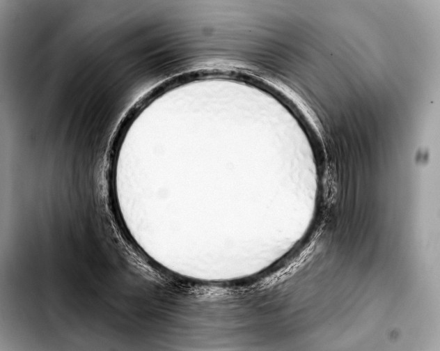 X0000103440783200810101104