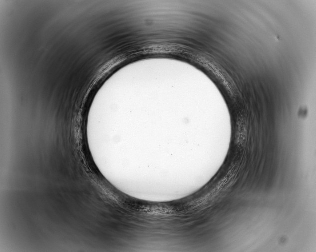 X0000103440786200810101104
