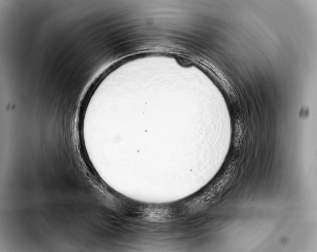 X0000103440788200810101104