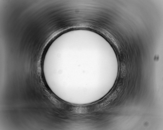 X0000103440789200810101104