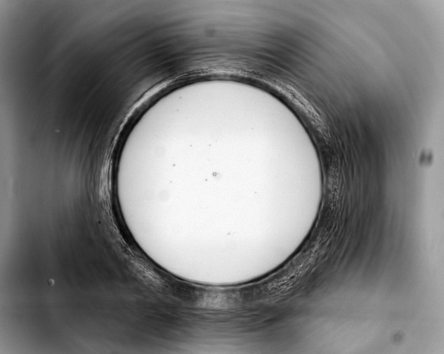 X0000103440790200810101104