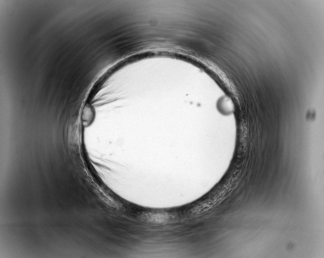 X0000103440791200810101104
