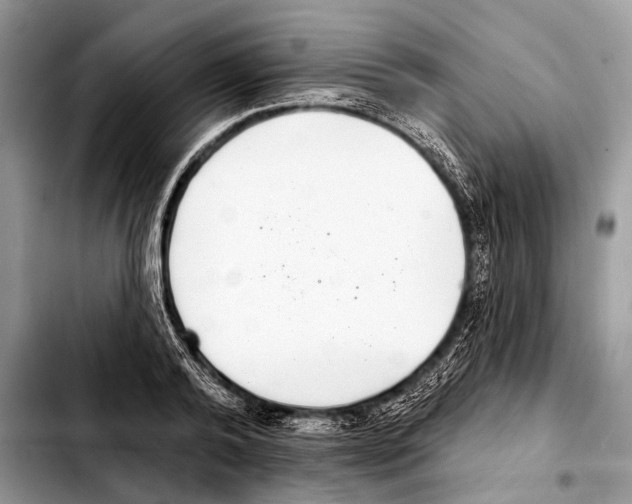 X0000103440792200810101104