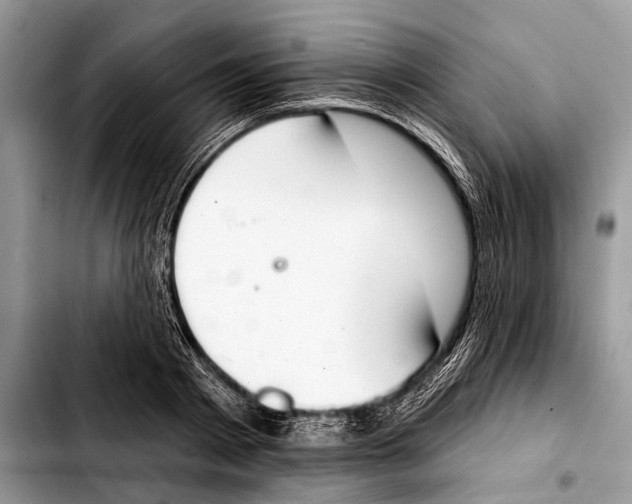 X0000103440793200810101104
